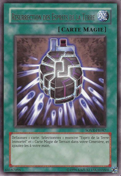 Résurrection de l'Esprit de la Terre Immortel ( Résurrection des Esprits de la Terre)