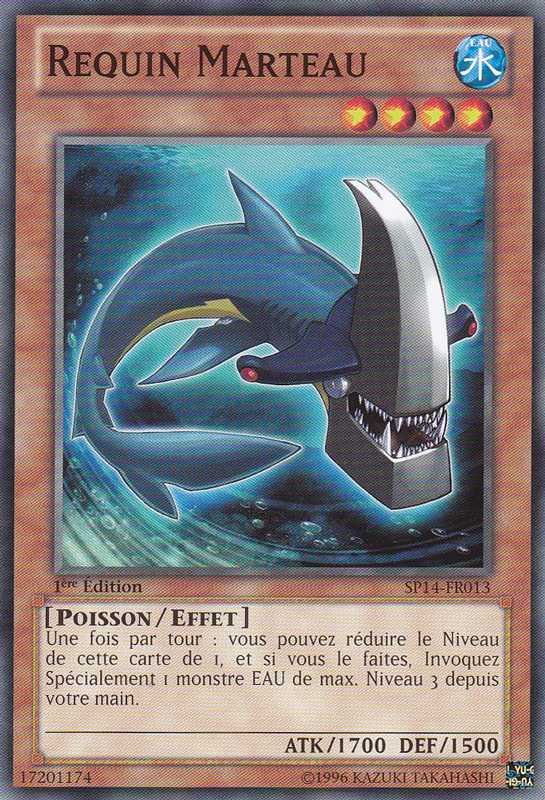 Hammer Shark