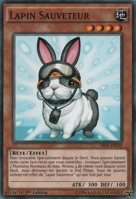 Lapin Sauveteur