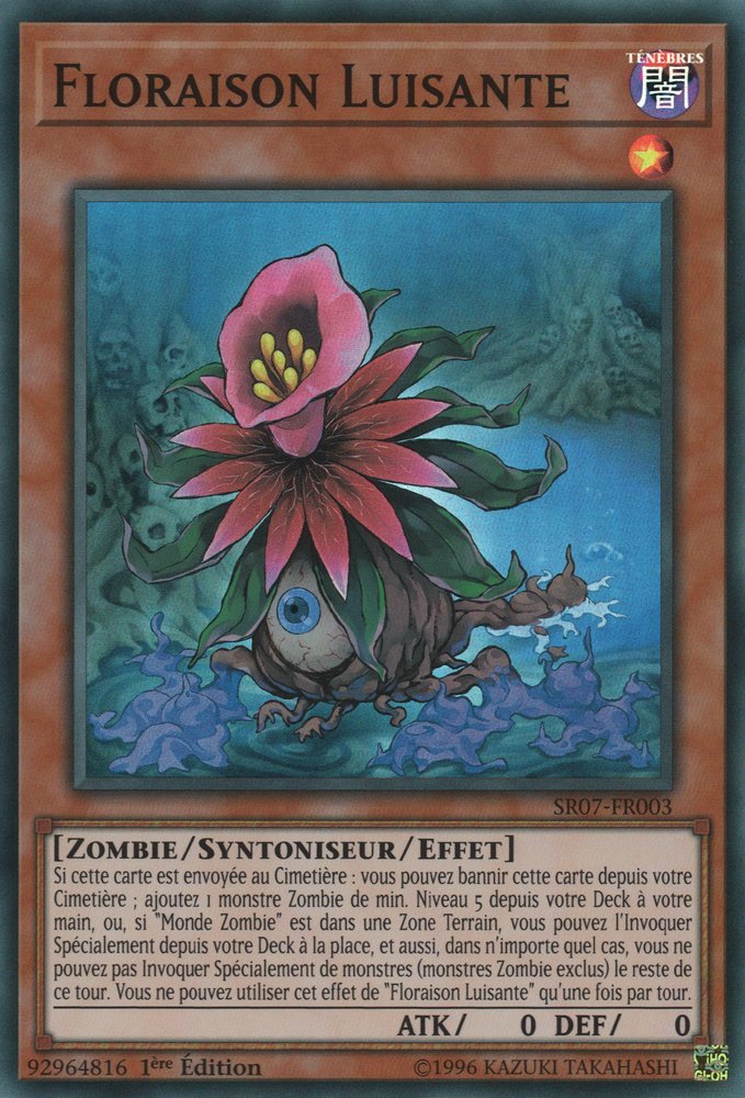 Glow-Up Bloom