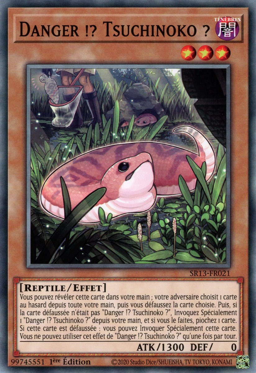 Danger !? Tsuchinoko ?