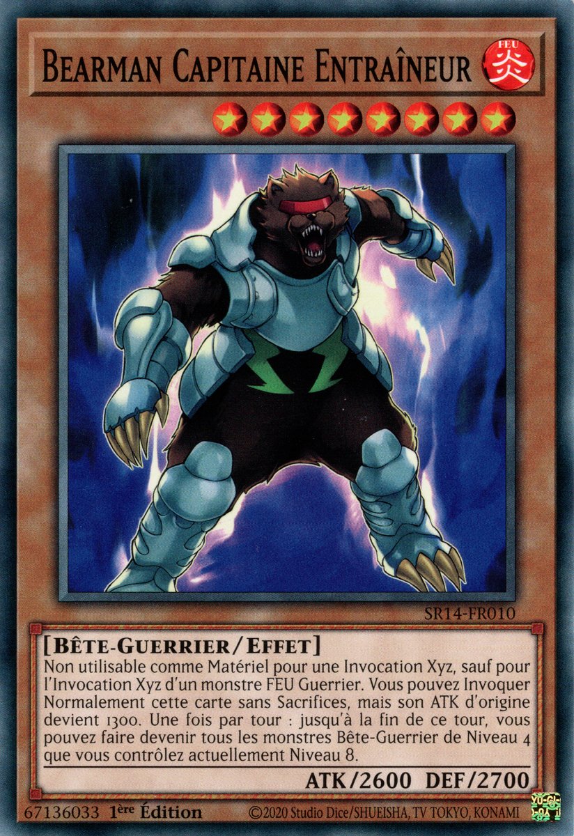 Bearman Capitaine Entraîneur