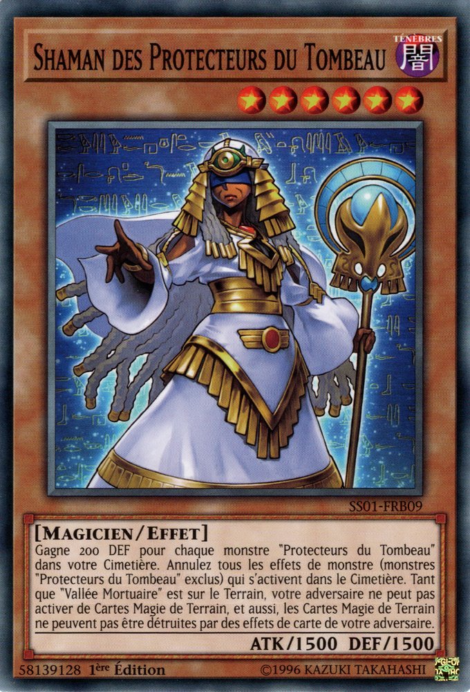 Shaman des Protecteurs du Tombeau