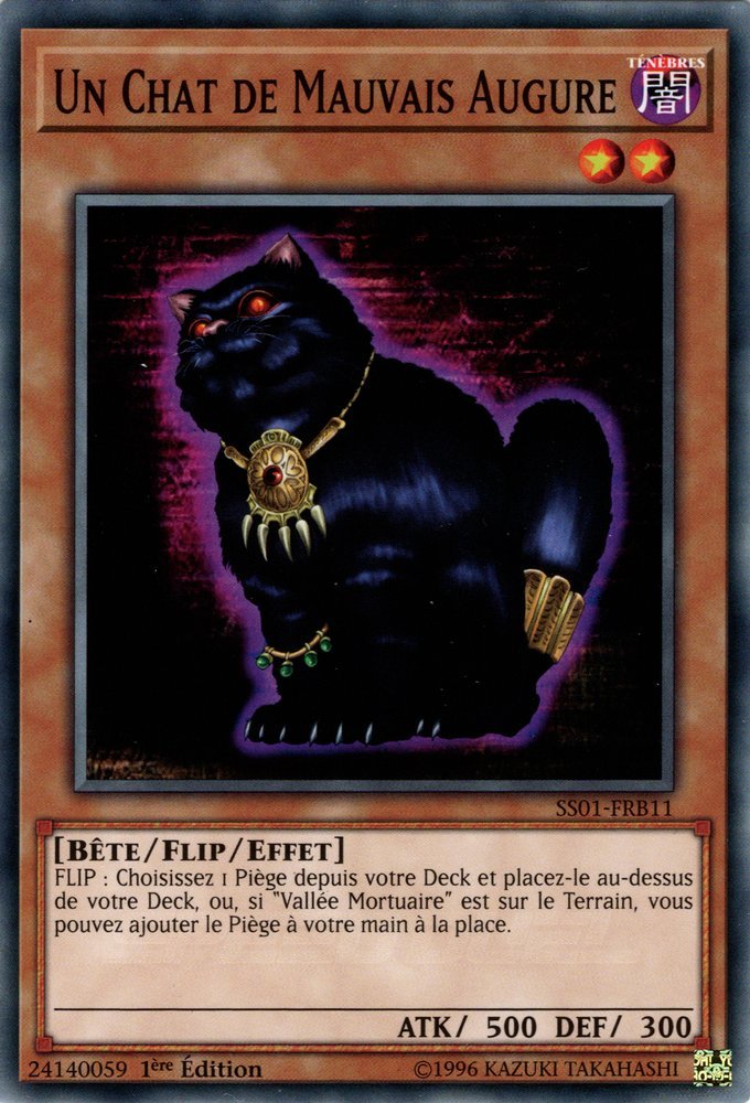 Un Chat de Mauvais Augure