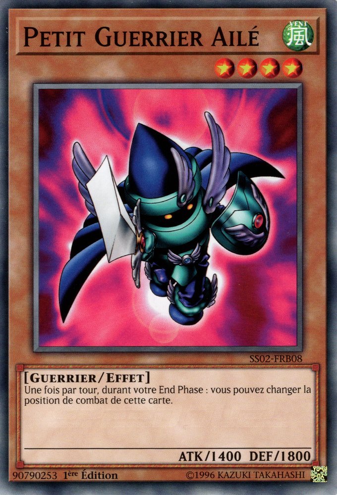 Little-Winguard