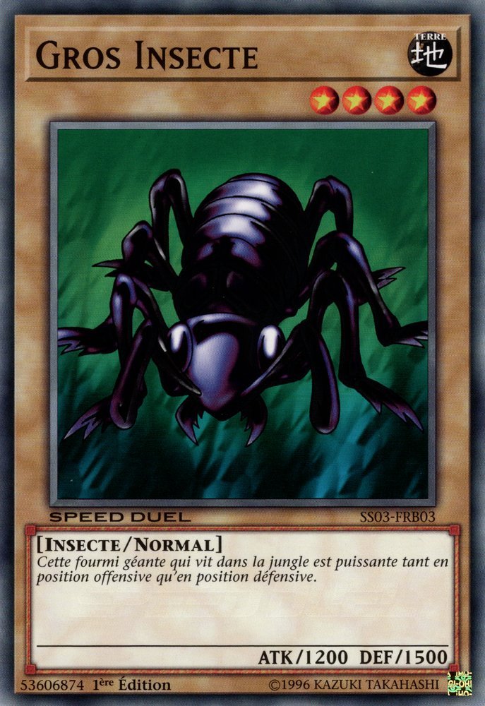 Gros Insecte