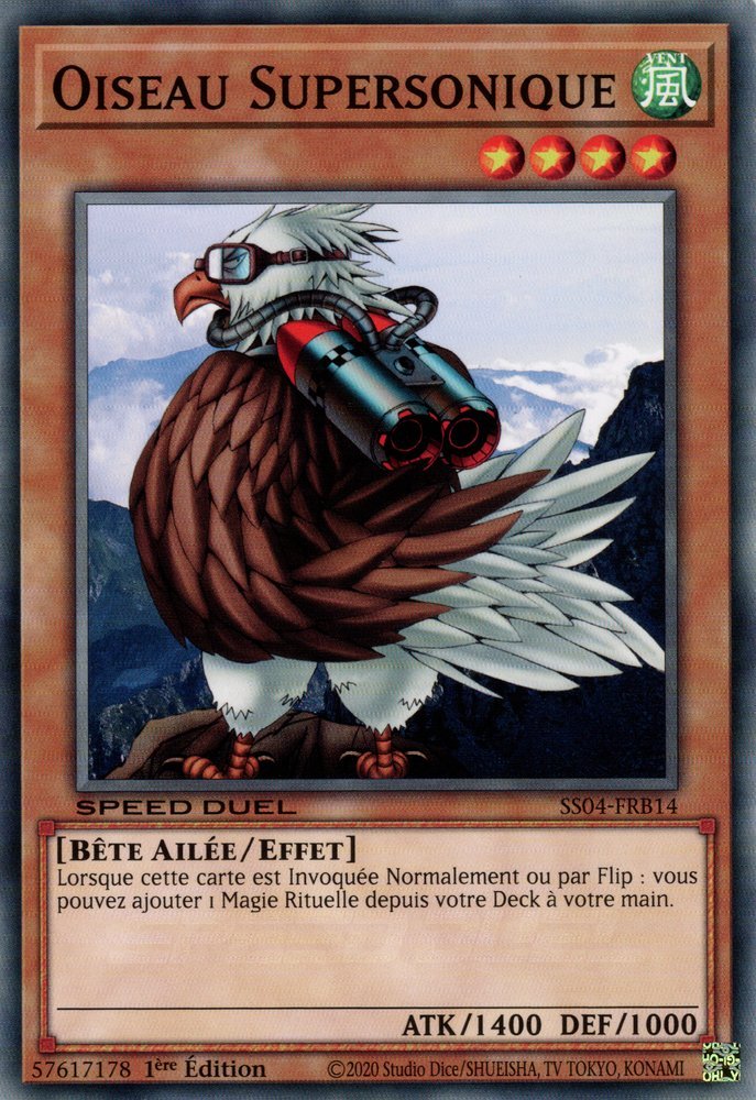 Oiseau Supersonique
