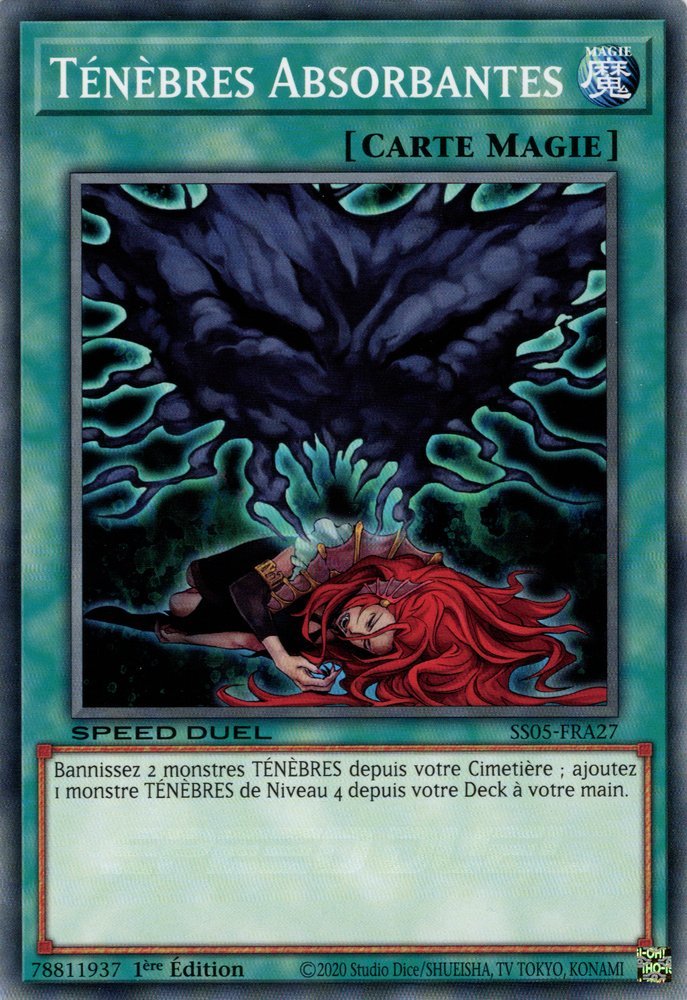 Ténèbres Absorbantes