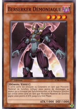 Vice Berserker