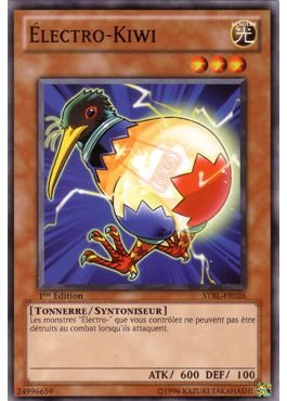 Electro-Kiwi