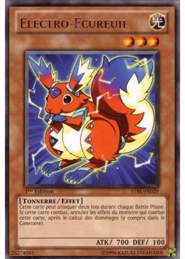Electro-Ecureuil