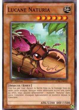 Lucane Naturia