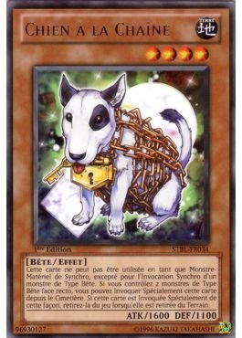Chain Dog