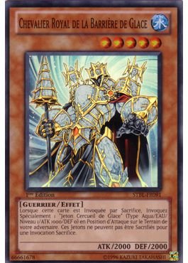 Royal Knight of the Ice Barrier