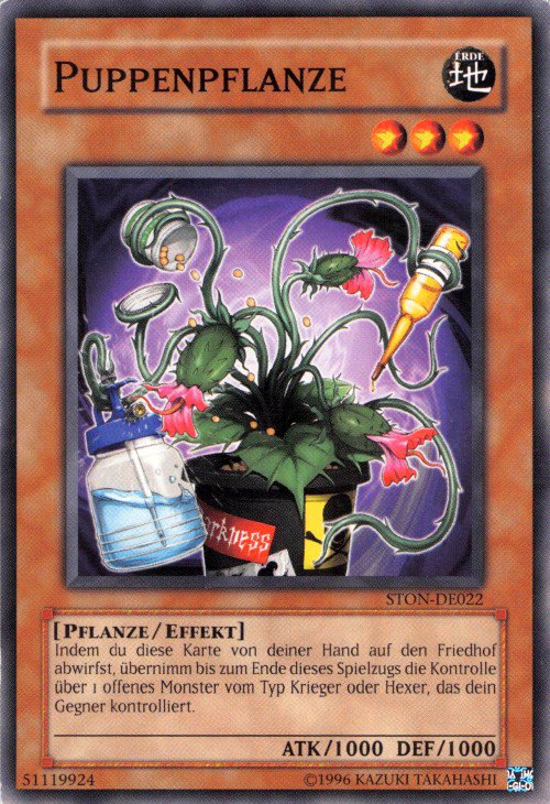 Plante Fantoche