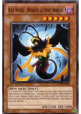 Blackwing - Brisote the Tailwind
