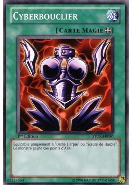 Cyberbouclier