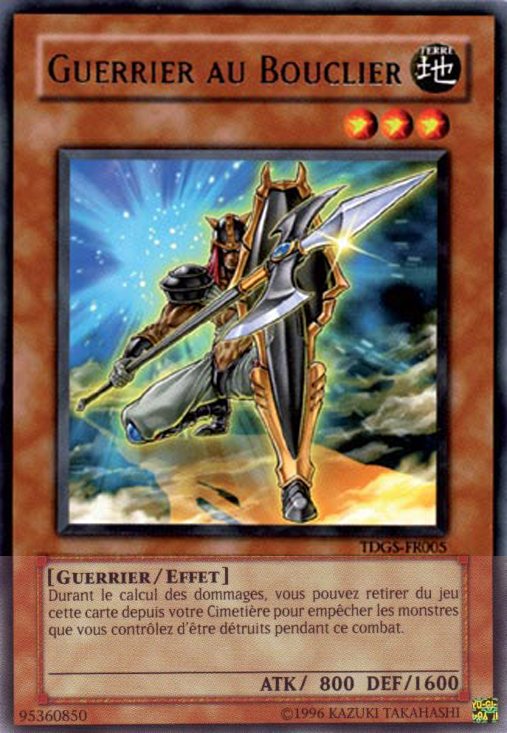 Shield Warrior