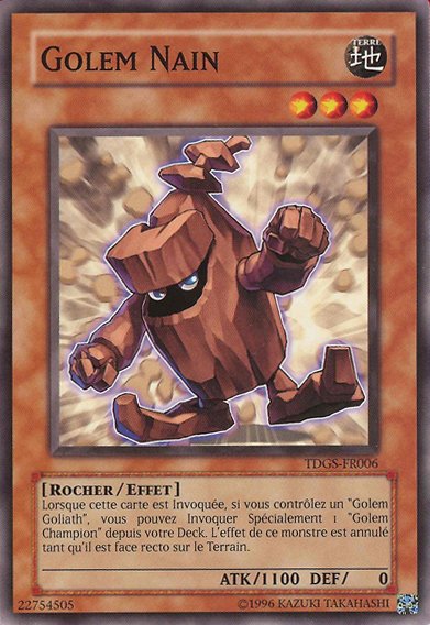 Small Piece Golem