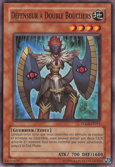 Twin-Shield Defender