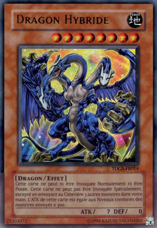Montage Dragon