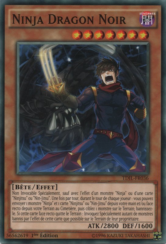 Ninja Dragon Noir
