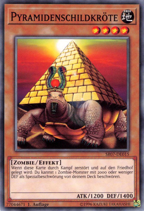 Tortue Pyramide