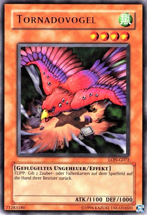 Oiseau Tornade