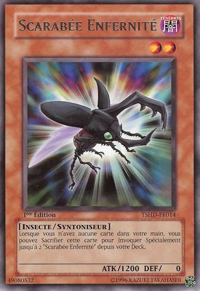 Scarabée Enfernité