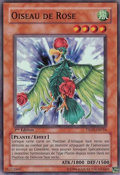 Oiseau de Rose