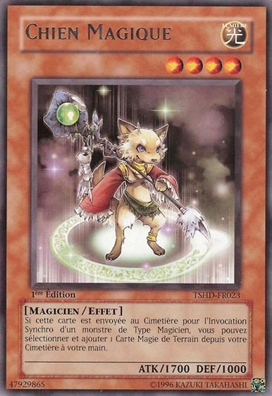Chien Magique