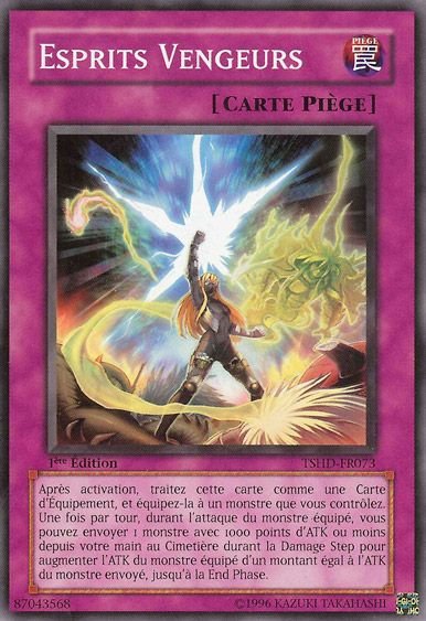 Esprit Vengeurs