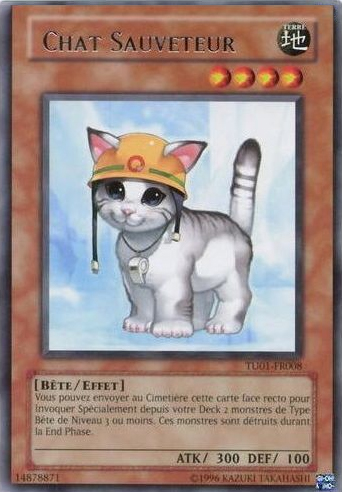 Chat Sauveteur