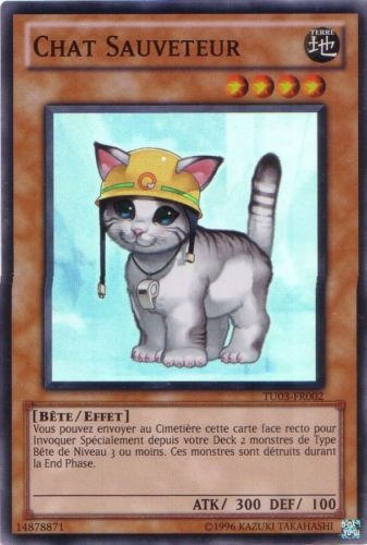 Chat Sauveteur