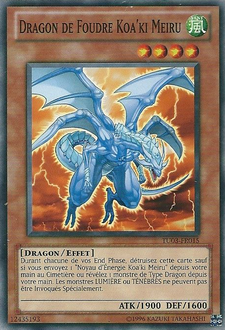 Dragon de Foudre Koa'ki Meiru