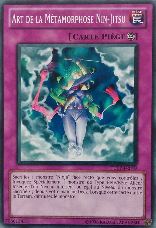 Ninjitsu Art of Transformation