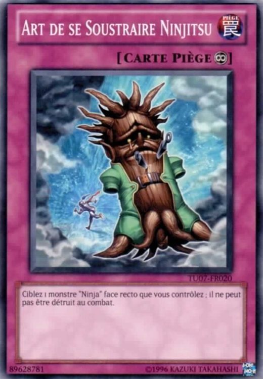 Ninjitsu Art of Decoy