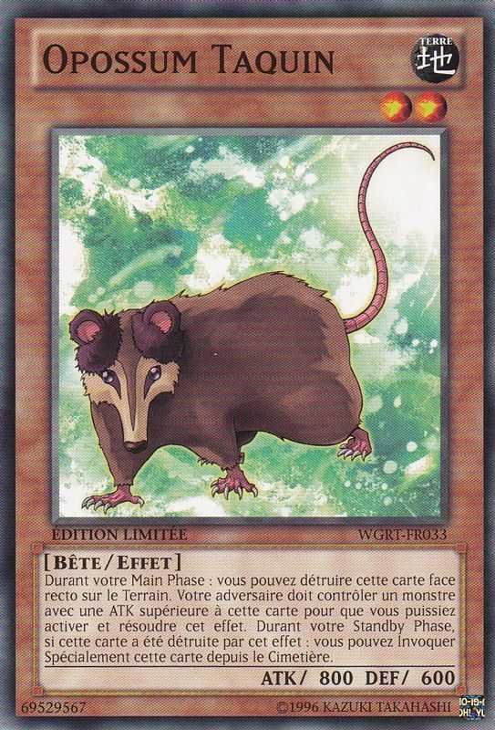 Opossum Taquin