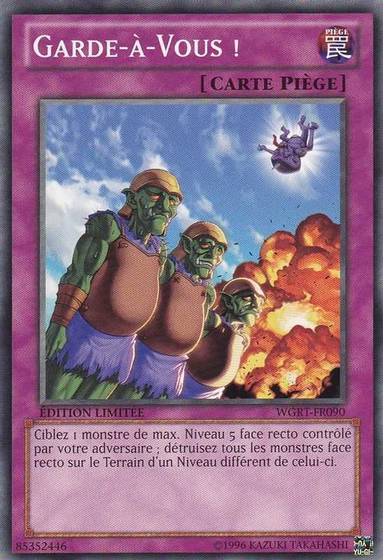 Garde-à-Vous !