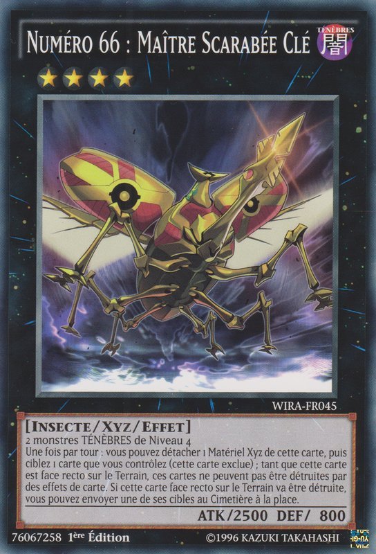 Number 66: Master Key Beetle