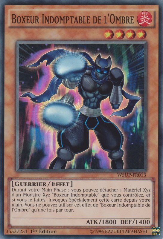 Boxeur Indomptable de l'Ombre