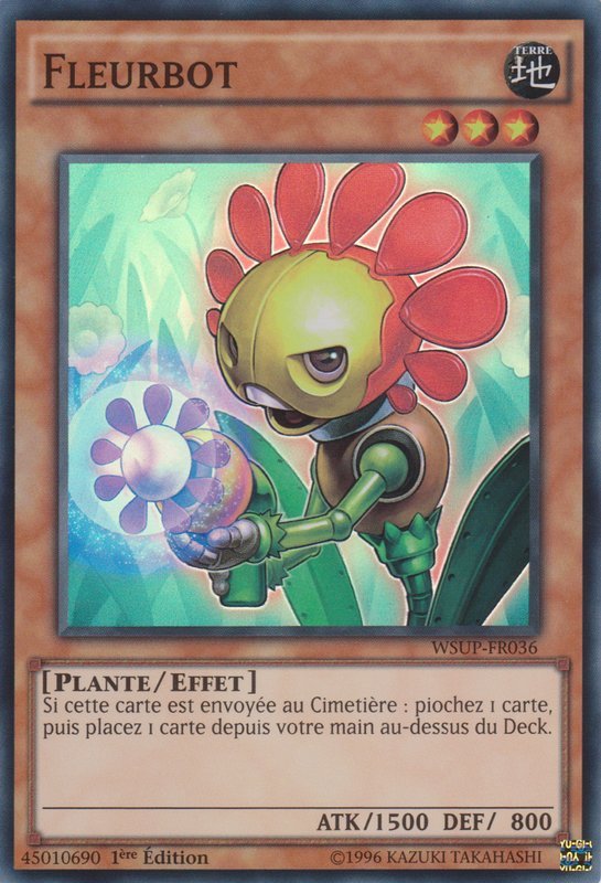 Fleurbot