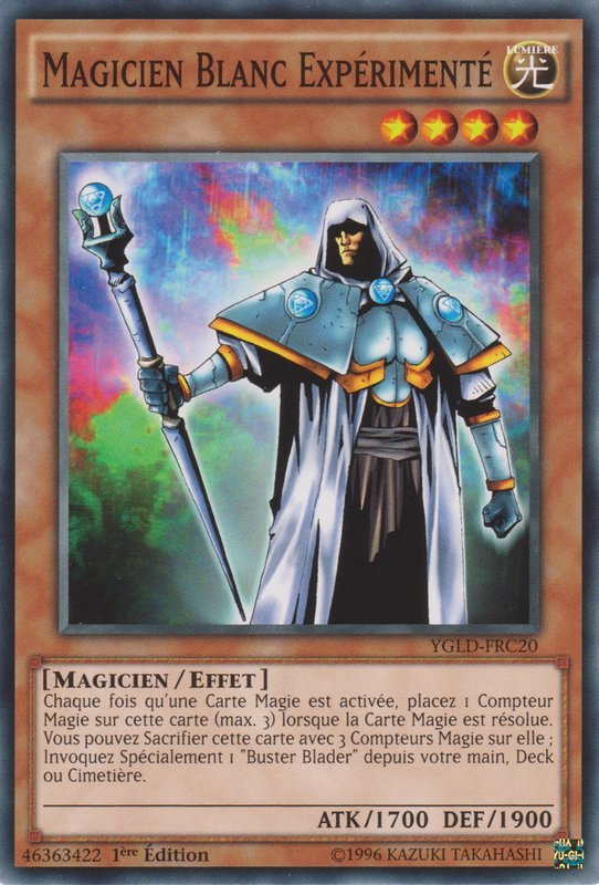 Magicien Blanc Expérimenté