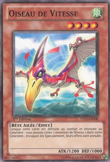 Oiseau de Vitesse