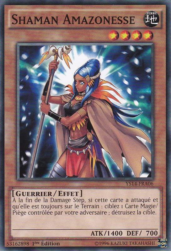 Shaman Amazonesse