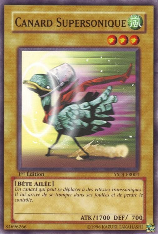 Canard Supersonique