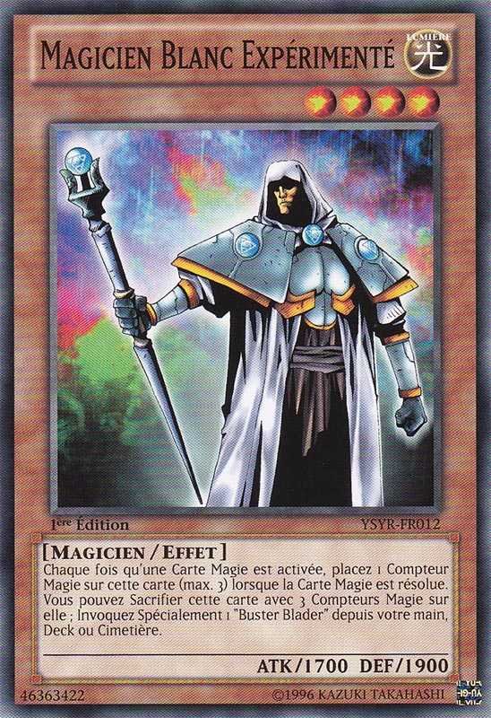 Magicien Blanc Expérimenté