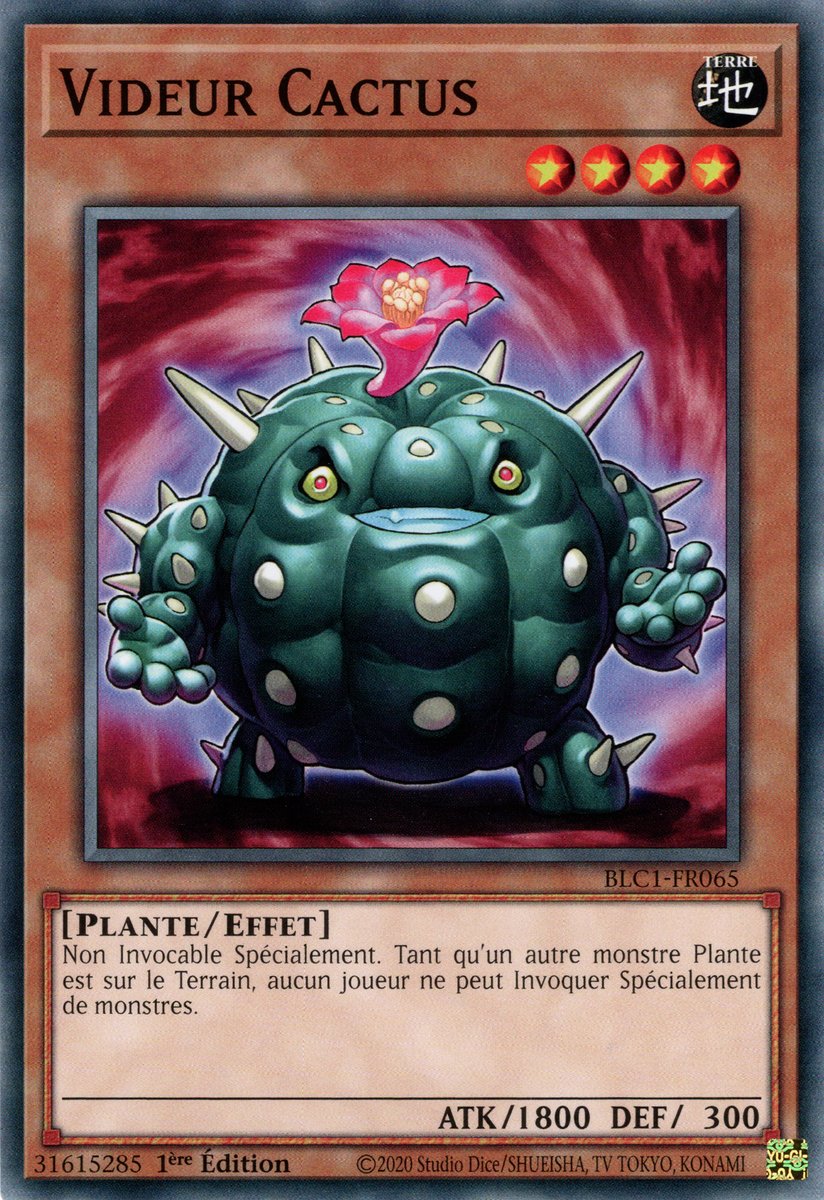 Videur Cactus