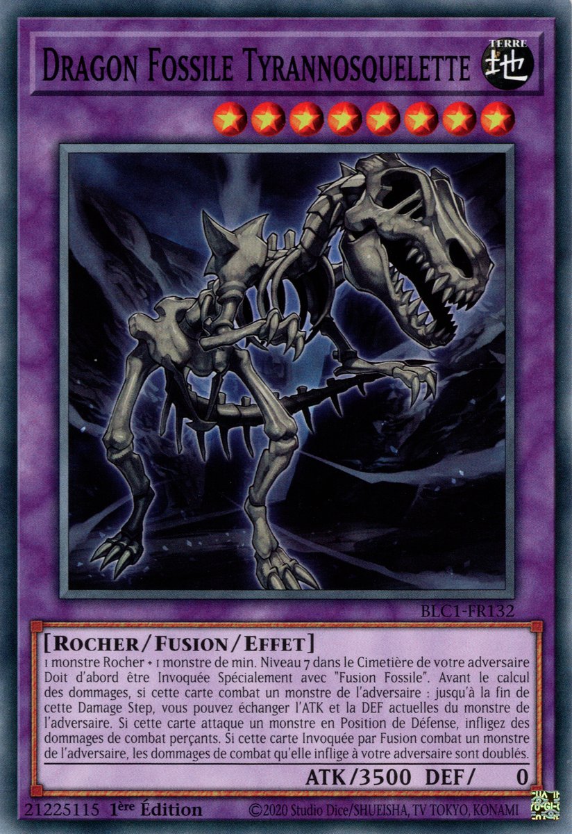 Dragon Fossile Tyrannosquelette
