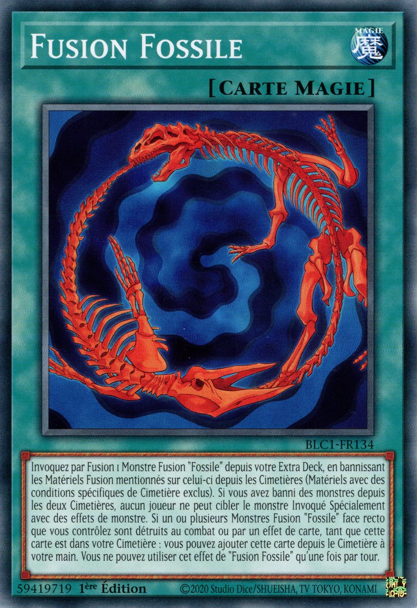 Fusion Fossile